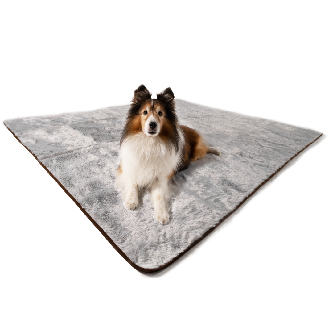 PupProtector™ Short Fur Waterproof Throw Blanket - Grey - - Dog Blanket by Paw.com