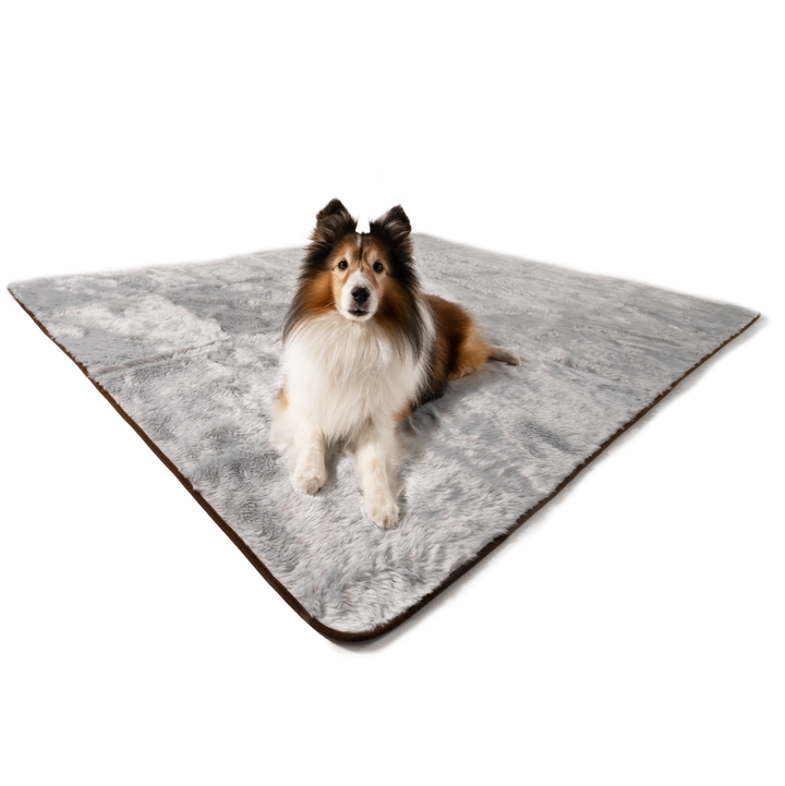 PupProtector™ Short Fur Waterproof Throw Blanket - Grey - - Dog Blanket by Paw.com