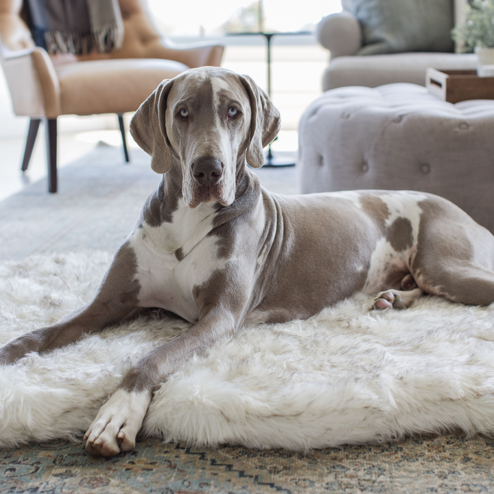 PupRug by Paw.com® Faux Fur Orthopedic Dog Bed - Curve White with Brown Accents - - Dog Beds by Paw.com