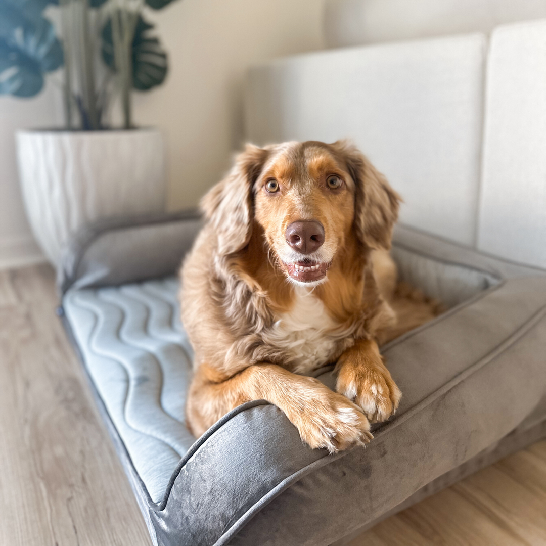 PupChill™ Cooling Bolster Dog Bed - - by Paw.com