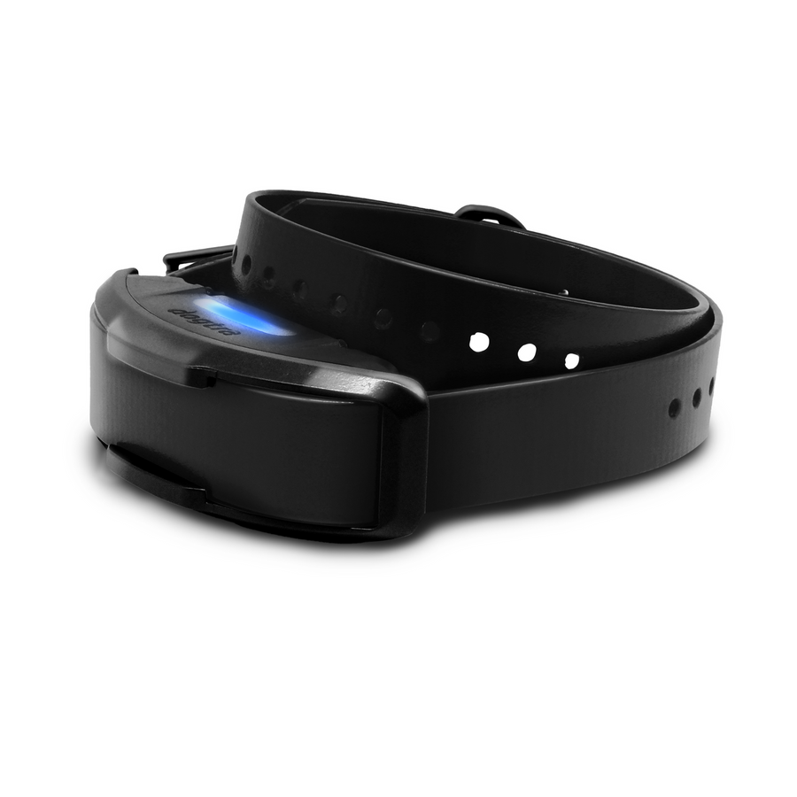 Dogtra 1900X Black Edition Additional Receiver - - by Dogtra