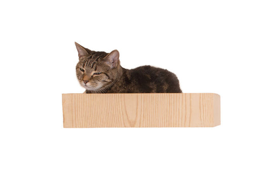 Armarkat Wall Tree with Condo, Perch and Stepup - - Cat Tree by Armarkat