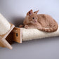 Armarkat Bridge Series Wall Climbing Cat Post - - Cat Post by Armarkat