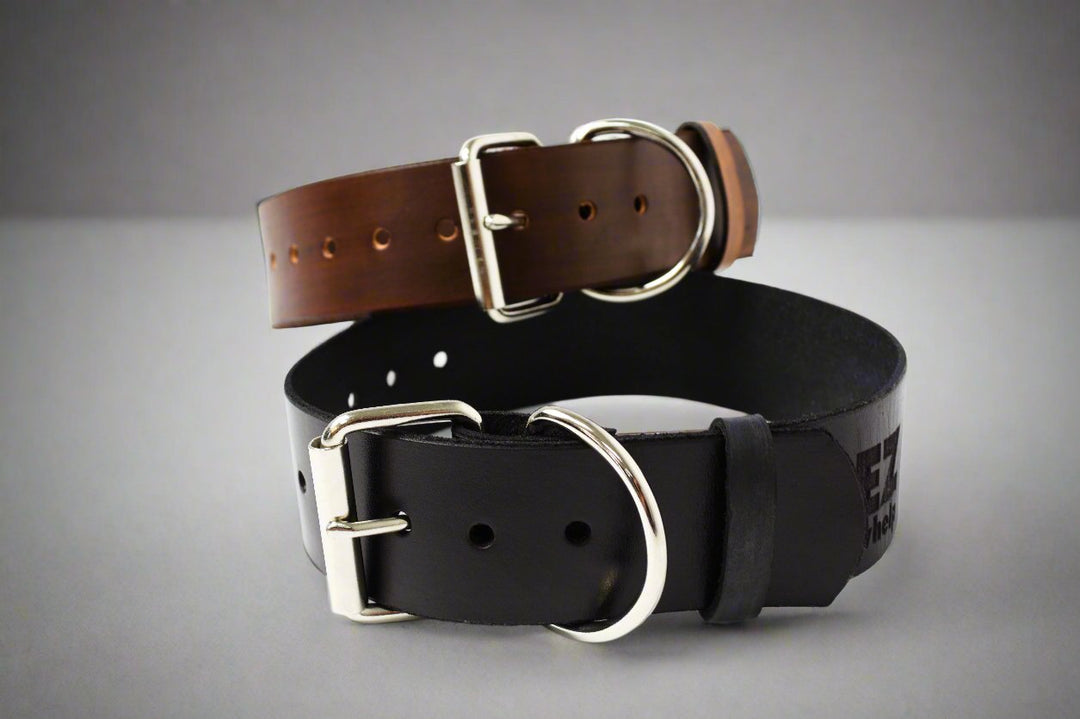 Leather Dog Collar - - by EZwhelp