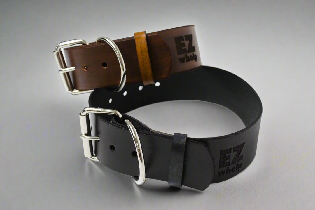 Leather Dog Collar - - by EZwhelp