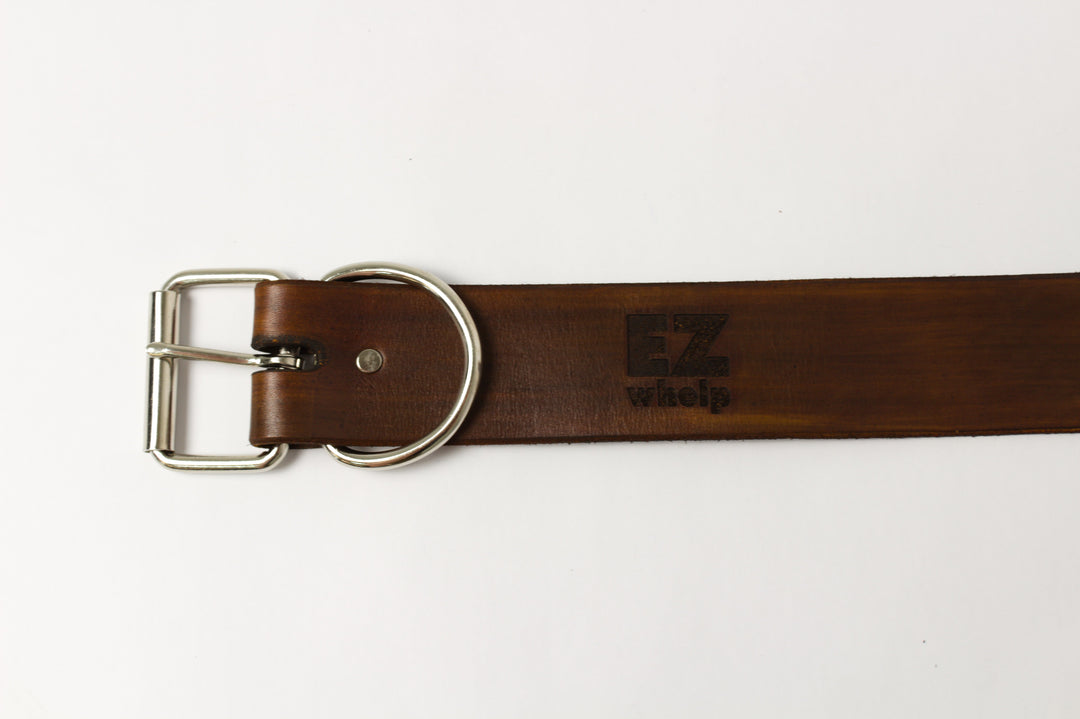 Leather Dog Collar - - by EZwhelp