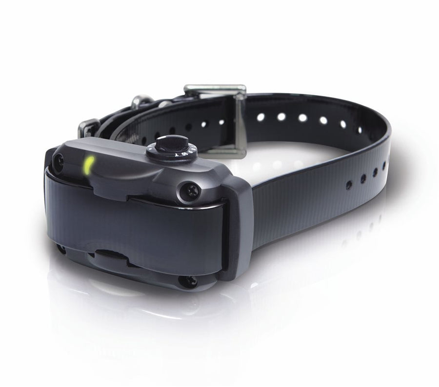 Dogtra High-Powered Bark Collar - - Training collars by Dogtra