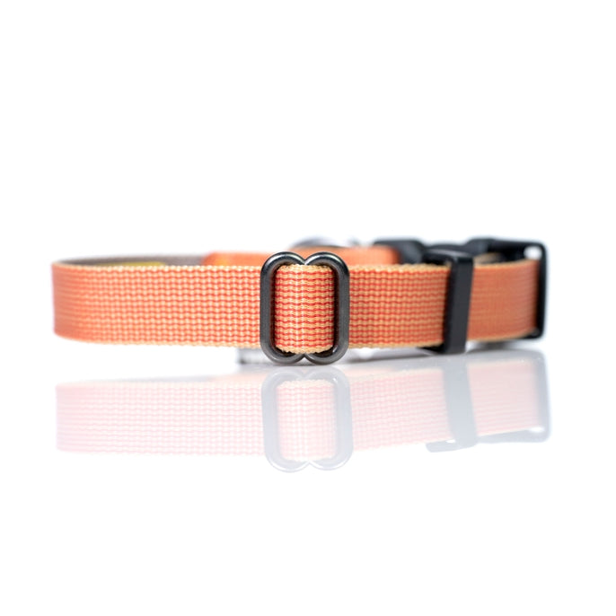 Sleepypod Everyday Collar - - Collar by Sleepypod
