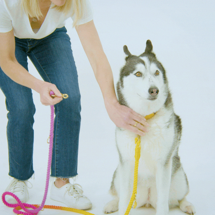 Roxy Hands-Free Rope Dog Leash