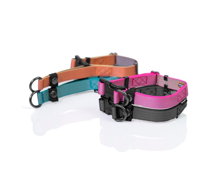 Sleepypod Locking Martingale Collar - - Collar by Sleepypod