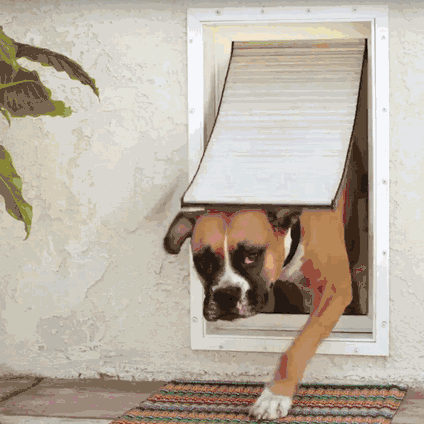 High Tech Pet Armor Flex Dog Door Wall Mount - - by High Tech Pet