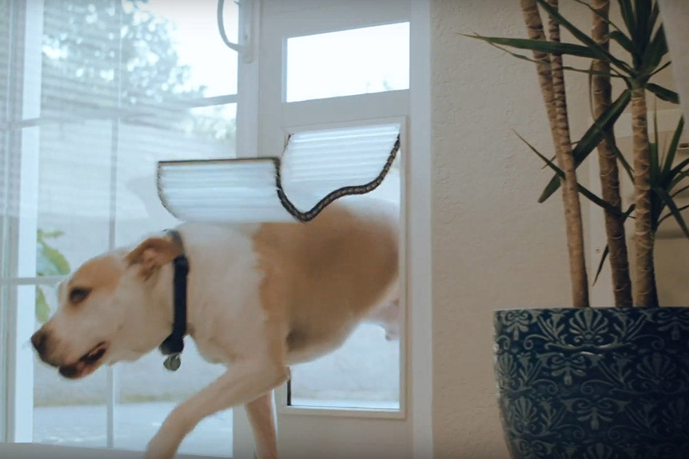 High Tech Pet Armor Flex Low-E Patio Pet Doors - - Automatic Pet Door by High Tech Pet
