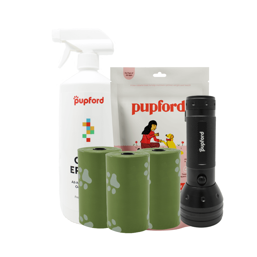 Pupford Potty Training Variety Pack