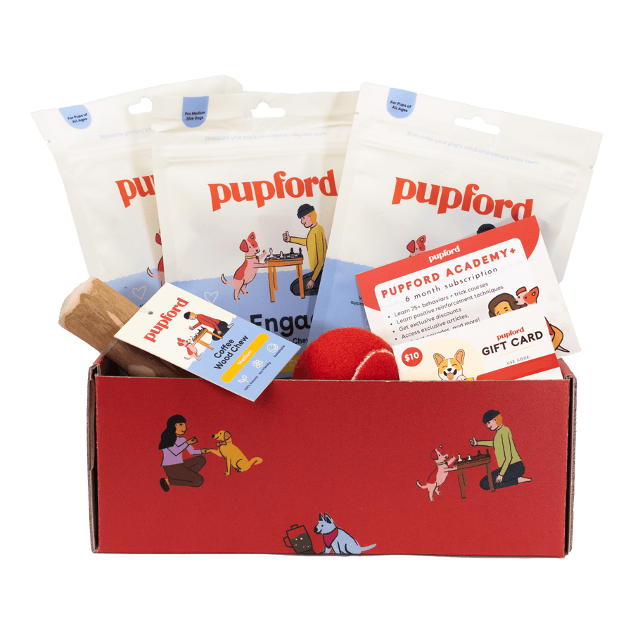 Pupford Engage Gift Box - - by Pupford