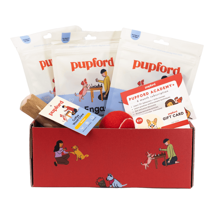 Pupford Engage Gift Box