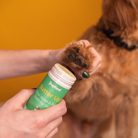 Pupford Pup Hygiene Pack