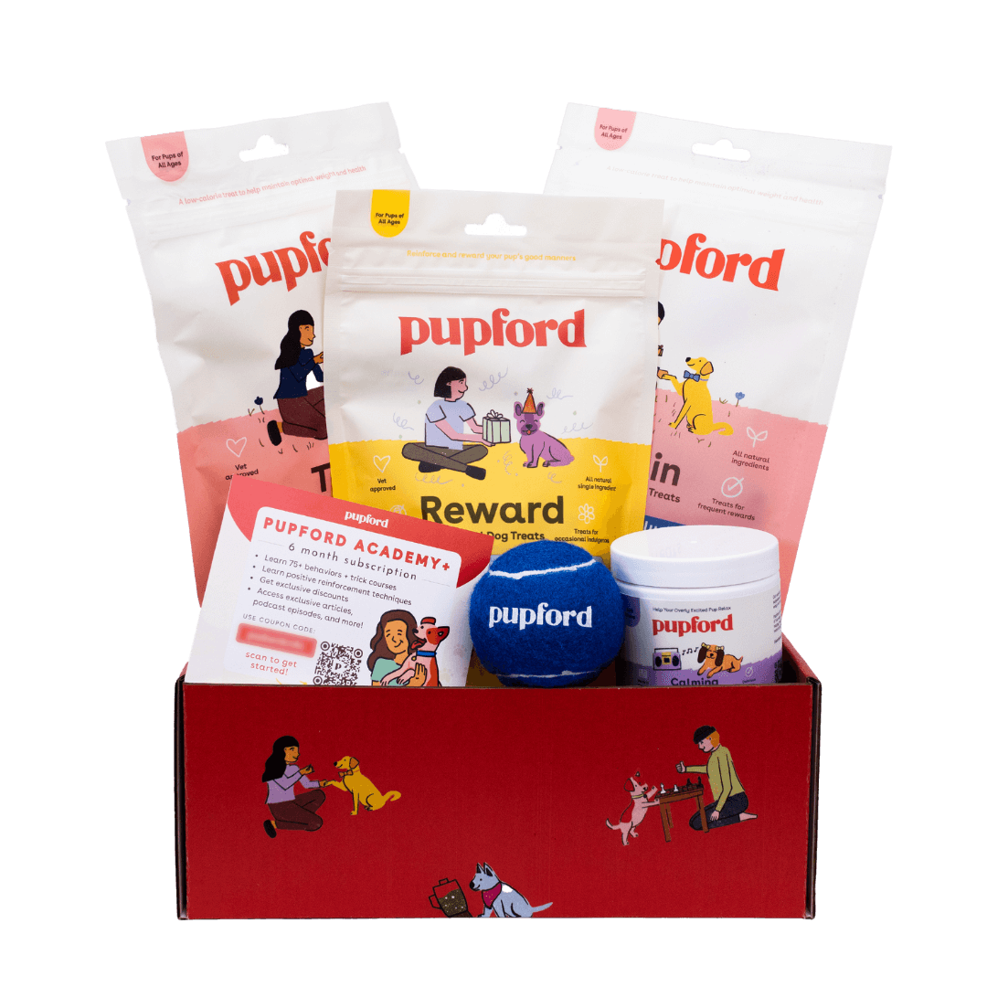 Pupford Picnic Gift Box - - by Pupford
