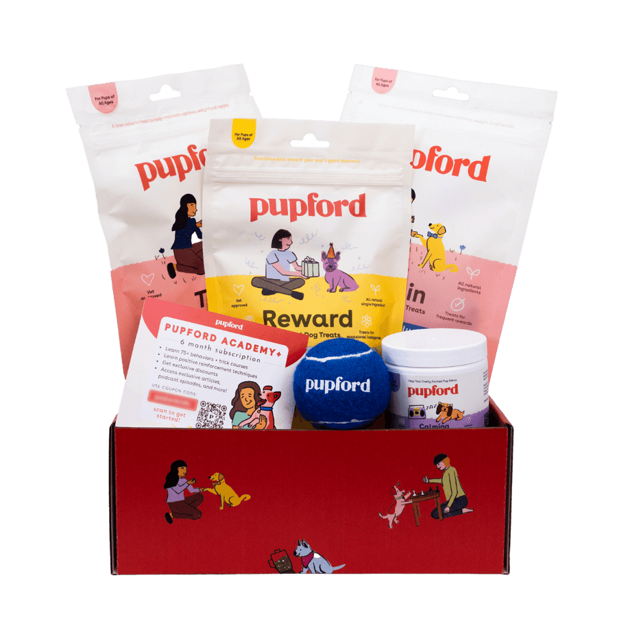 Pupford Picnic Gift Box - - by Pupford