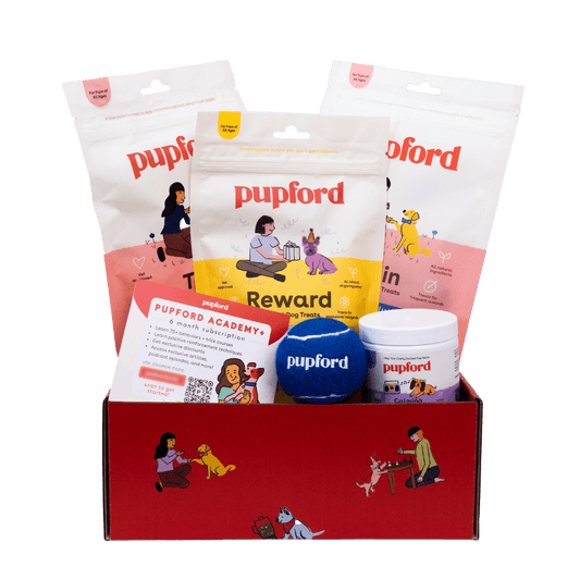 Pupford Picnic Gift Box