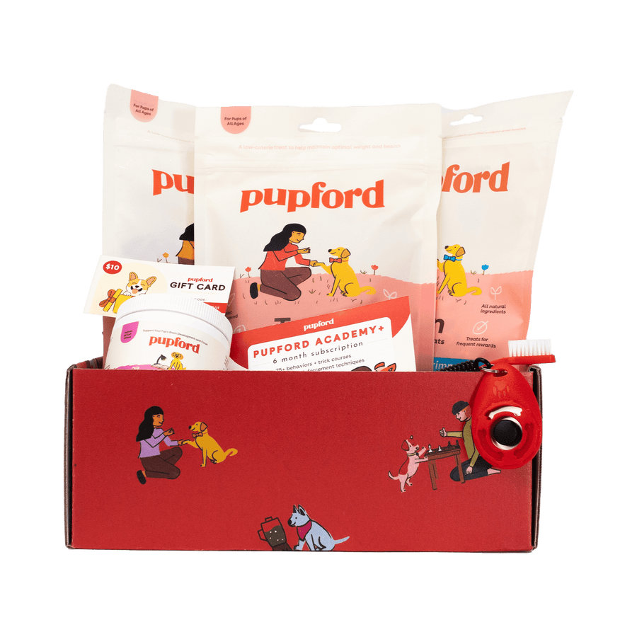 Pupford Training Gift Box - - by Pupford