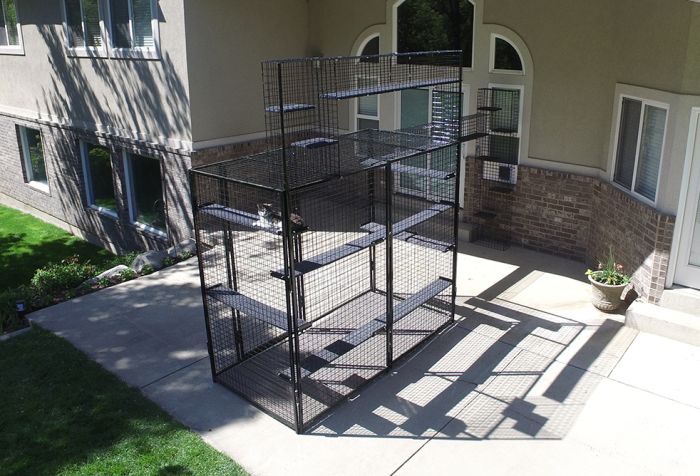 K9 Kennel Store 5-Piece Backyard Jungle - - Catio by K9 Kennel Store