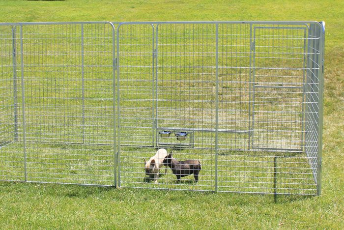 K9 Kennel Store Basic Dog Kennel Pro (Galvanized) - - Dog Kennels & Runs by K9 Kennel Store
