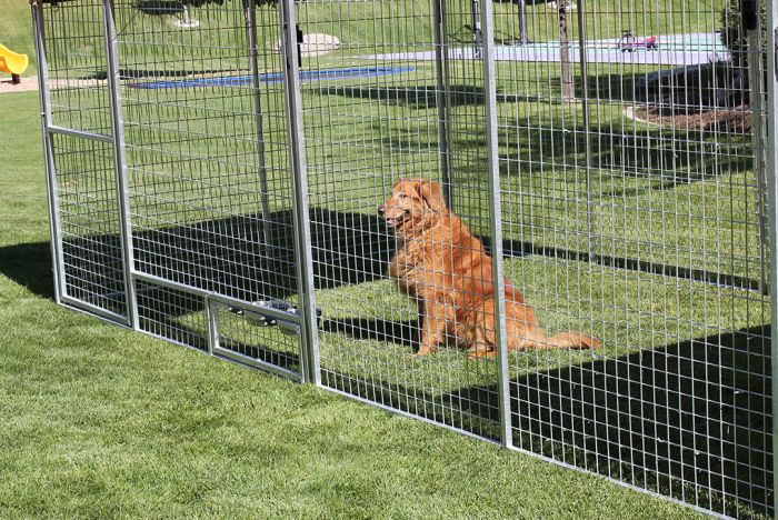 K9 Kennel Store Basic Dog Kennel Pro (Galvanized) - - Dog Kennels & Runs by K9 Kennel Store