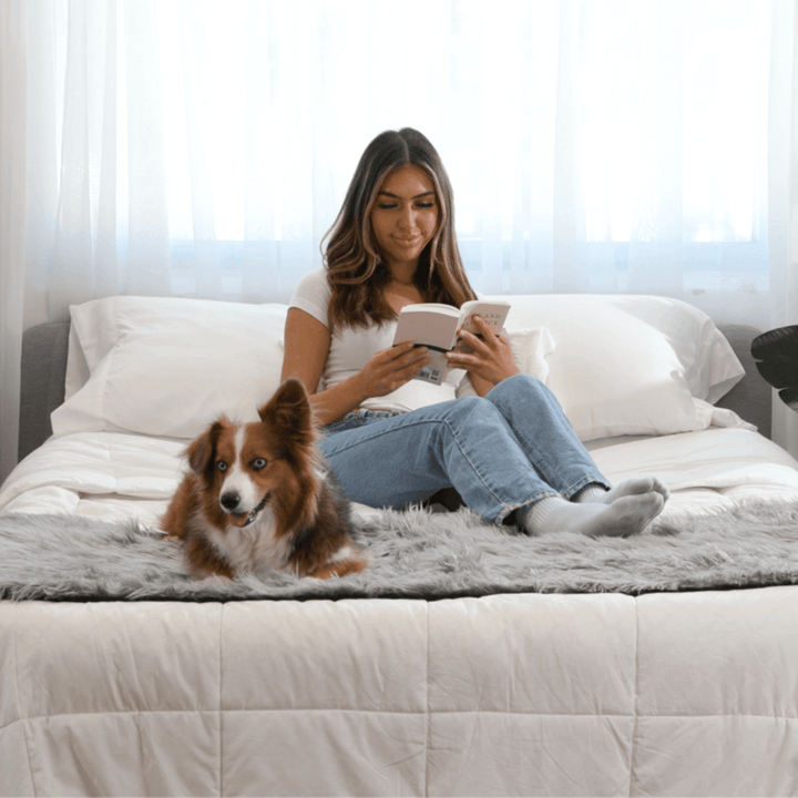 PupProtector™ Waterproof Bed Runner - Charcoal Grey - - Dog Blanket by Paw.com