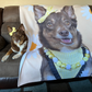 Petsies Custom Pet Photo Blankets