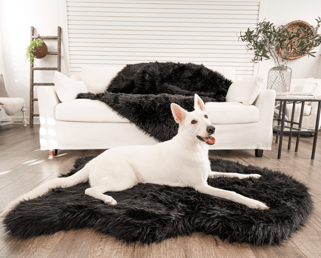 PupRug by Paw.com® Faux Fur Orthopedic Dog Bed - Curve Midnight Black - - Dog Beds by Paw.com