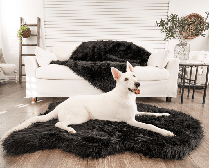 PupRug by Paw.com® Faux Fur Orthopedic Dog Bed - Curve Midnight Black - - Dog Beds by Paw.com