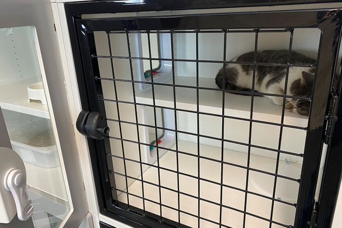 K9 Kennel Store Double Unit Cat Stax - - Cat Unit by K9 Kennel Store