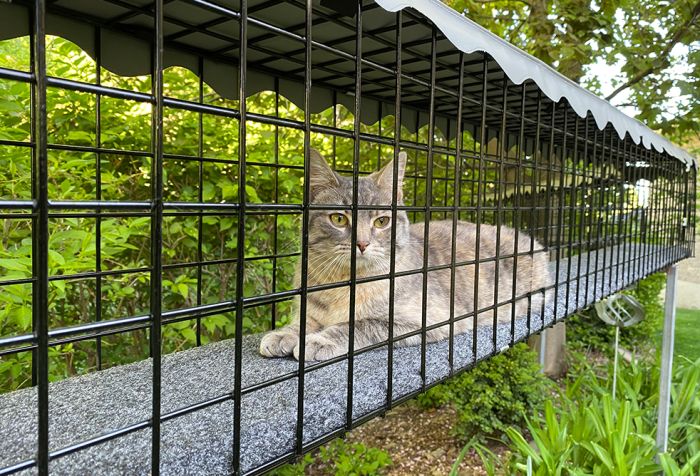 K9 Kennel Store 3-Piece Residential Retreat - - Catio by K9 Kennel Store