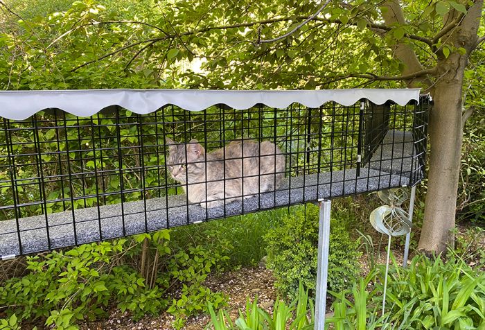 K9 Kennel Store Outdoor Catio Tunnel - - Catio by K9 Kennel Store