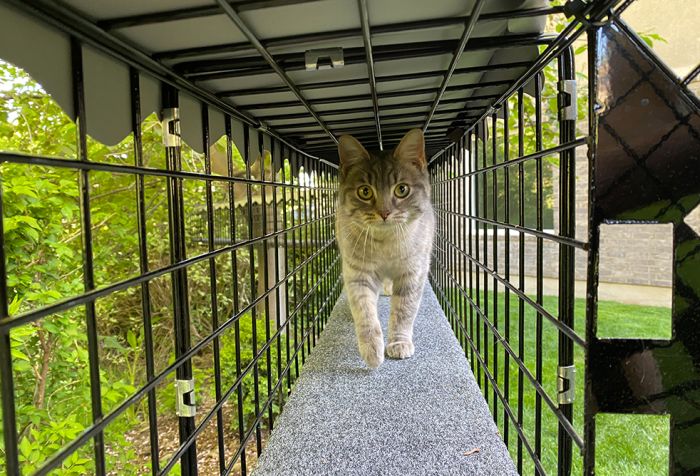 K9 Kennel Store Outdoor Catio Tunnel - - Catio by K9 Kennel Store