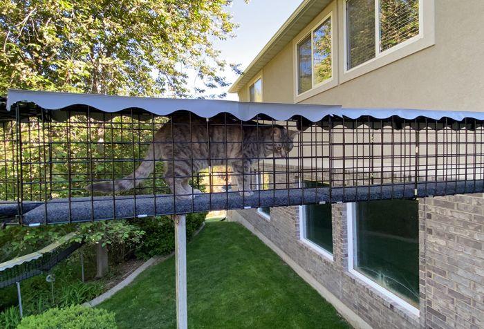 K9 Kennel Store Outdoor Catio Tunnel - - Catio by K9 Kennel Store