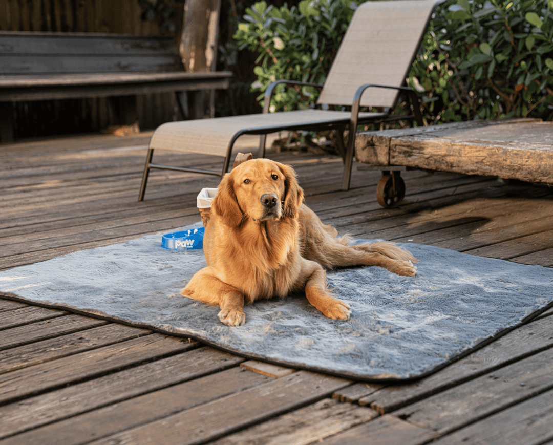 PupProtector™ Short Fur Waterproof Throw Blanket - Charcoal Grey - - Dog Blanket by Paw.com