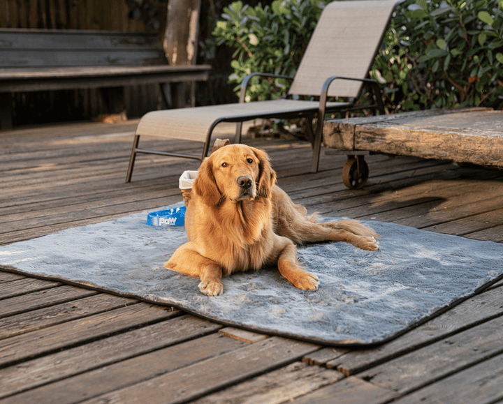 PupProtector™ Short Fur Waterproof Throw Blanket - Charcoal Grey - - Dog Blanket by Paw.com