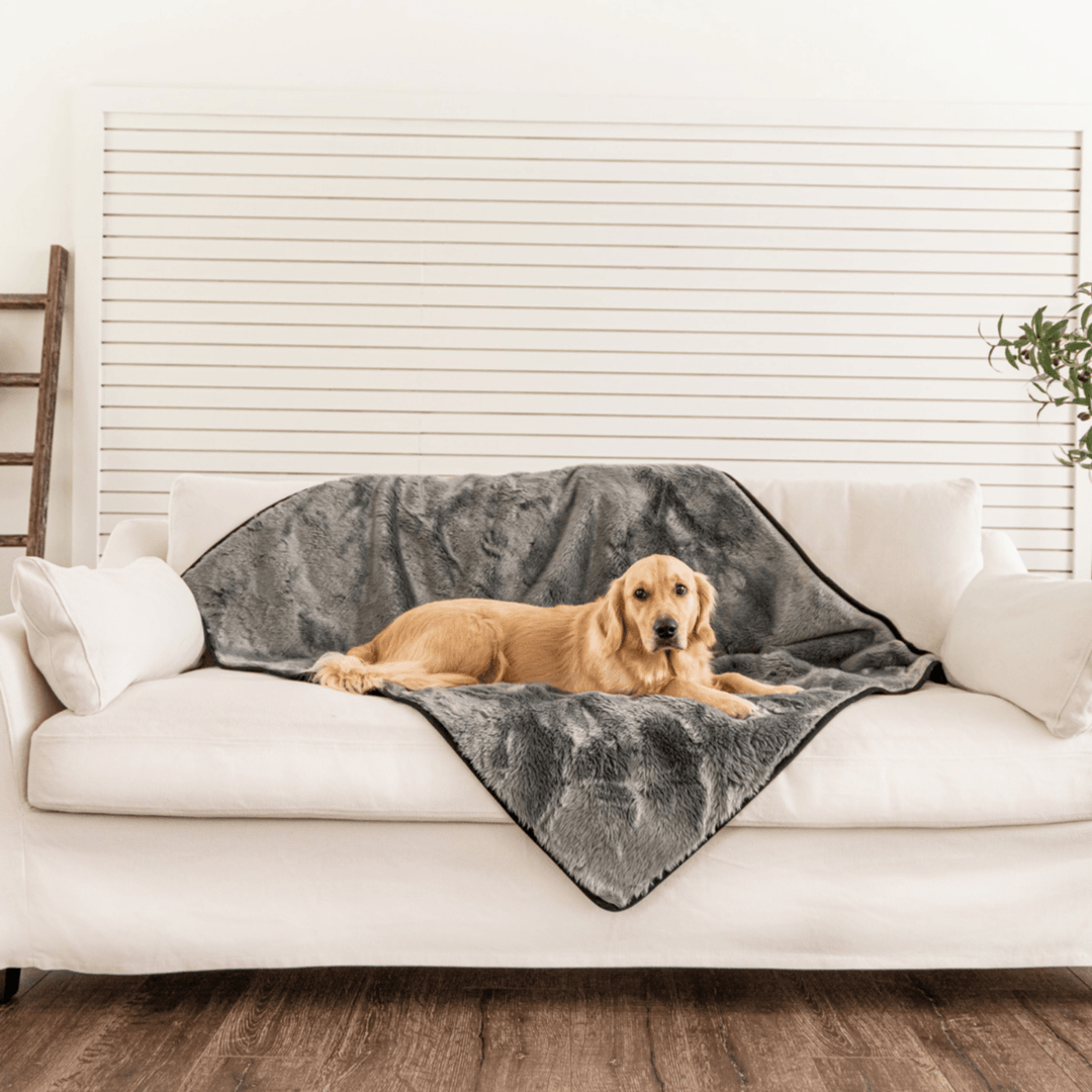 PupProtector™ Short Fur Waterproof Throw Blanket - Charcoal Grey - - Dog Blanket by Paw.com