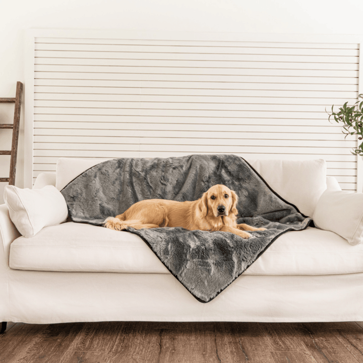 PupProtector™ Short Fur Waterproof Throw Blanket - Charcoal Grey - - Dog Blanket by Paw.com