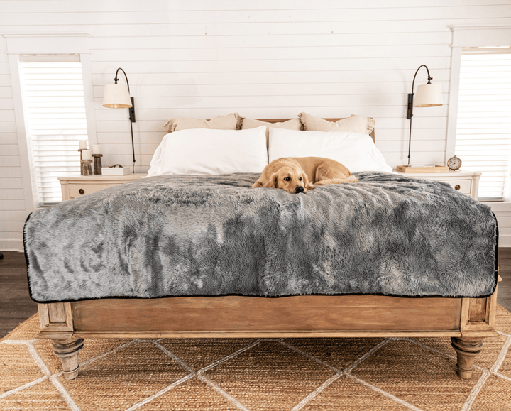 PupProtector™ Short Fur Waterproof Throw Blanket - Charcoal Grey - Large (80"L X 62"W) - Dog Blanket by Paw.com