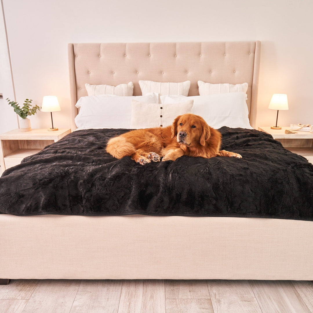 PupProtector™ Short Fur Waterproof Throw Blanket - Midnight Black - Large (80"L X 62"W) - Dog Blanket by Paw.com