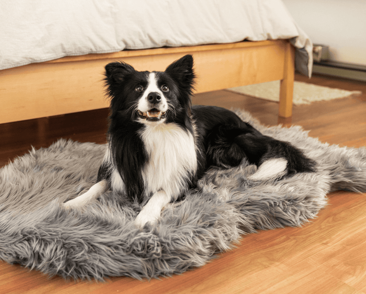 PupRug by Paw.com® Faux Fur Orthopedic Dog Bed - Curve Charcoal Grey - - Dog Beds by Paw.com