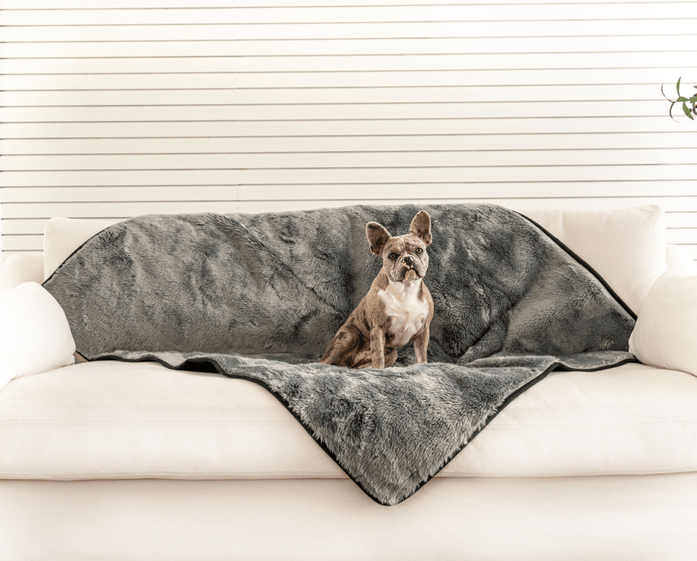 PupProtector™ Short Fur Waterproof Throw Blanket - Charcoal Grey - - Dog Blanket by Paw.com
