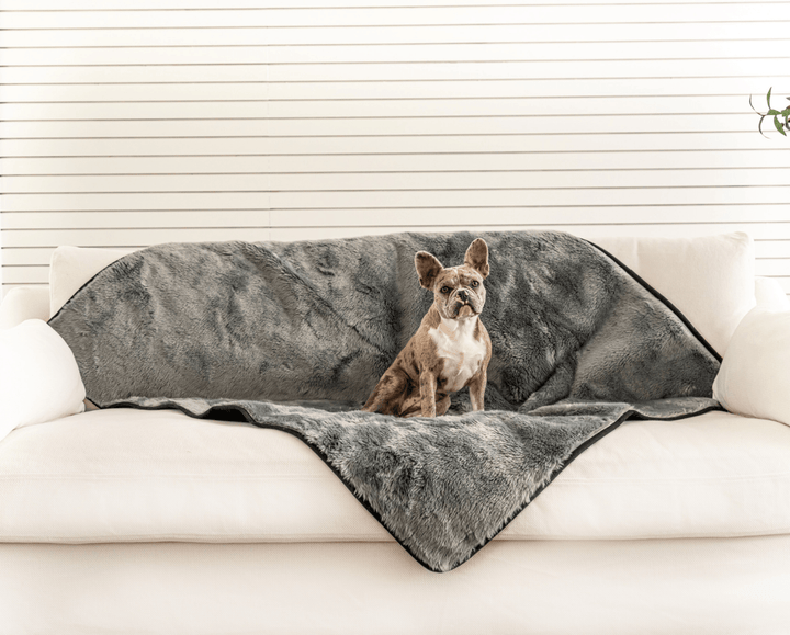 PupProtector™ Short Fur Waterproof Throw Blanket - Charcoal Grey - - Dog Blanket by Paw.com