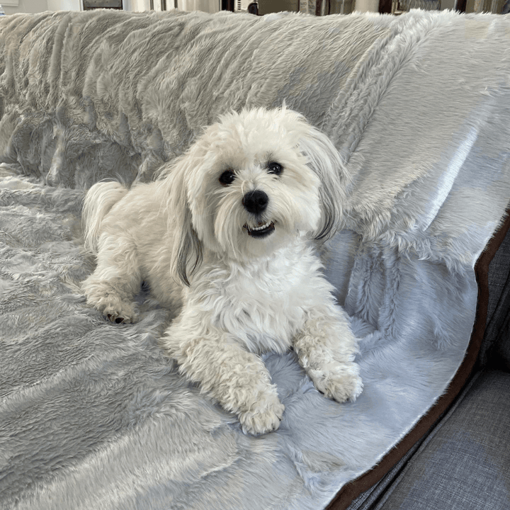PupProtector™ Short Fur Waterproof Throw Blanket - Grey - - Dog Blanket by Paw.com