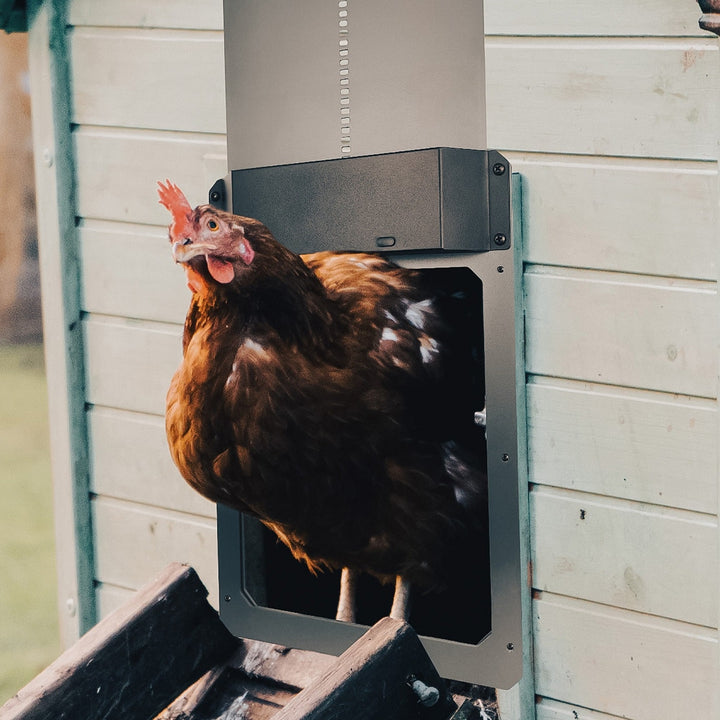 Farmight Automatic Chicken Coop Door, Aluminum - - Automatic Chicken Doors by My Pet Chicken