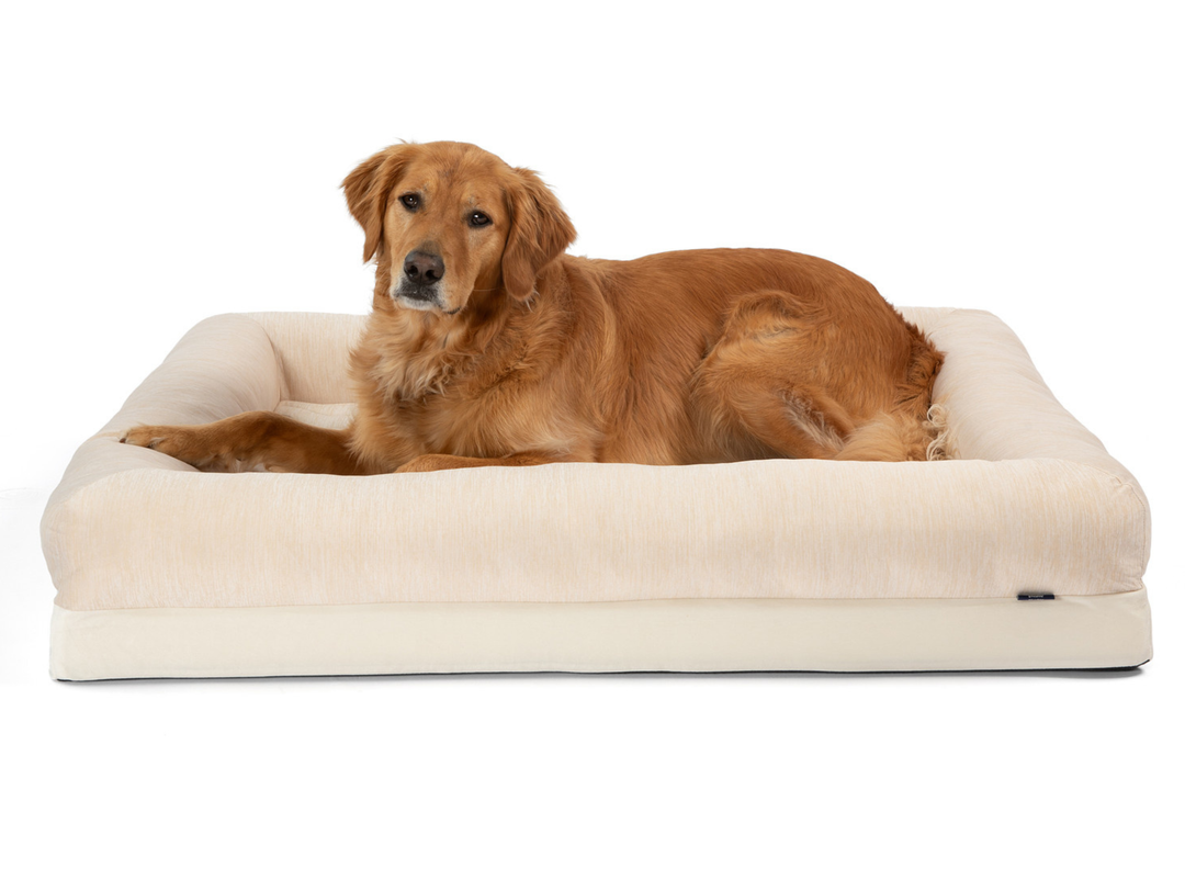 PupChill™ Cooling 4-Bolster Dog Bed - Arctic Sand - - Dog Beds by Paw.com