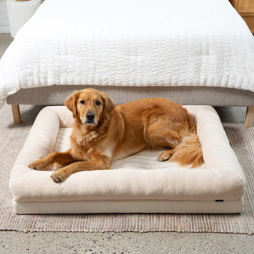 PupChill™ Cooling 4-Bolster Dog Bed - Arctic Sand - - Dog Beds by Paw.com