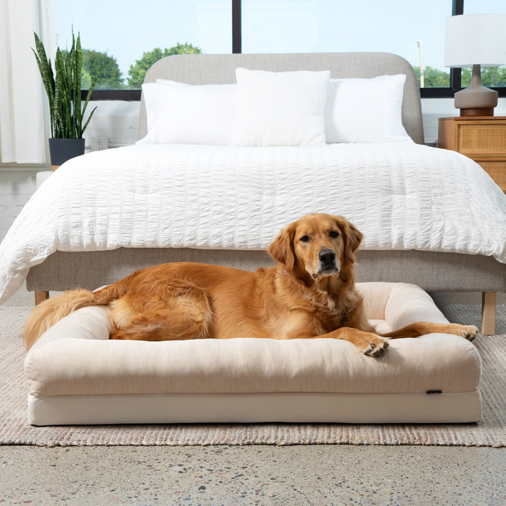 PupChill™ Cooling 4-Bolster Dog Bed - Arctic Sand - - Dog Beds by Paw.com